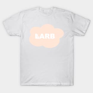 Peach LARB Studios Cloud | LARB Studios & Abelia Rose T-Shirt